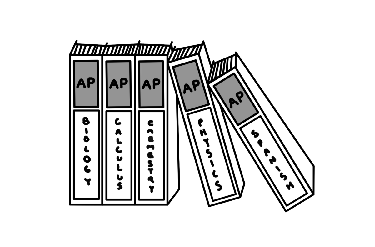 Point vs counterpoint: Advanced Placement (AP) classes